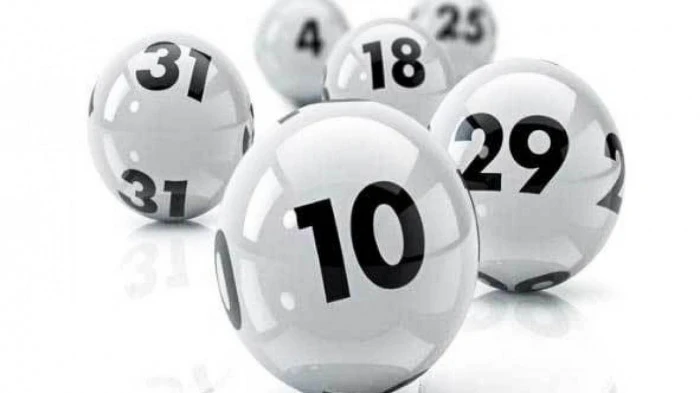 S689: Đánh Giá Chi Tiết Về Đá Gà Trực Tiếp và Casino Trực Tuyến